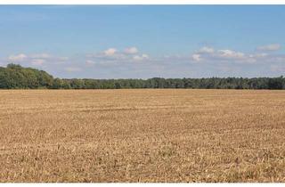 Gewerbeimmobilie kaufen in Järichower Str., 39114 Randau-Calenberge, ca. 65 ha Grundbesitz in einem Flurstück östlich Magdeburg