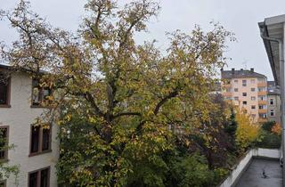 Wohnung mieten in Goethestraße 44, 63067 Kaiserlei, Attraktive 2-Zimmerwohnung mit Balkon und EBK im 2. OG in Offenbach Stadtmitte