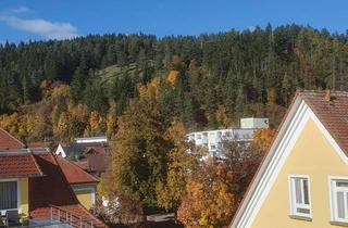 Wohnung mieten in 78532 Tuttlingen, Schöne Wohnung für 1 Person in Tuttlingen Möhringen