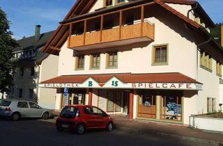 Wohnung mieten in 72275 Alpirsbach, 2-Zimmer-Wohnung in zentraler Lage in Alpirsbach