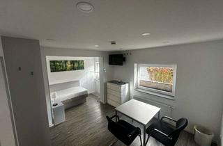 Wohnung mieten in 63814 Mainaschaff, 1 Zimmer Wohnung, vollmöbliert mit Einbauküche, Singels, Pendler, Wochenendheimfahrer