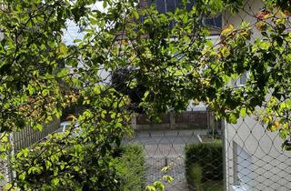 Wohnung mieten in Beethovenstraße 48, 76461 Muggensturm, Wohnen in der Beethovenstraße 48