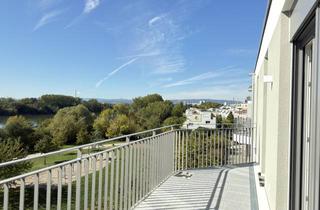 Penthouse mieten in 55252 Mainz-Kastel, Moderne 2-Zimmer-Penthousewohnung mit großem Balkon