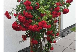 Einfamilienhaus kaufen in Kreillerstraße 144a, 81825 Berg am Laim, Freistehendes Einfamilienhaus