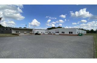 Büro zu mieten in Steinkamp, 49429 Visbek, Halle mit Büro- und Aufenthaltsräumen, LKW Rampen sowie Freifläche