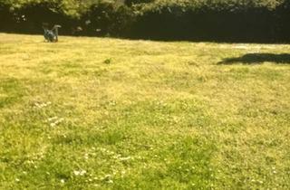 Grundstück zu kaufen in 15732 Schulzendorf, Baugrundstück ideal für Einfamilienhaus