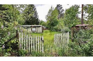 Haus kaufen in 15374 Müncheberg, Müncheberg - FREIZEIT-PARADIES AM MAXSEE