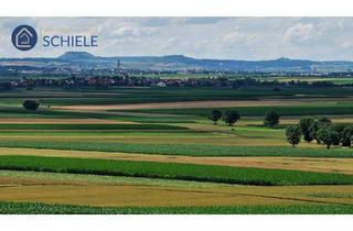 Immobilie kaufen in 86653 Daiting, Grünland / Wiese 3,7ha in 86653 Daiting