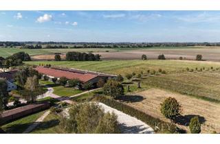 Immobilie kaufen in 14476 Uetz, Einmalige Lage- Reitsportanlage bei Potsdam mit 16 Hektar arrondiertem Land