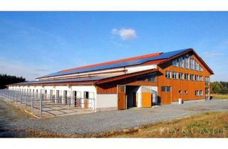 Immobilie kaufen in 95447 Saas, Exklusive Reitsportanlage mit Wohnhaus und Ferienhäusern in idyllischer Alleinlage