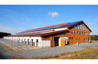 Immobilie kaufen in 95447 Saas, Exklusive Reitsportanlage mit Wohnhaus und Ferienhäusern in idyllischer Alleinlage