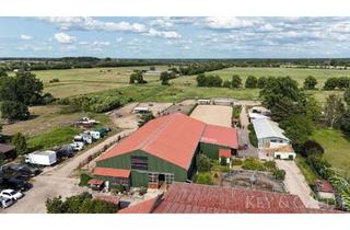 Immobilie kaufen in 16727 Velten, Profitable Reitanlage vor den Toren Berlins - mit arrondiertem Weideland!