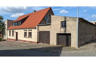 Einfamilienhaus kaufen in 06429 Nienburg, Nienburg (Saale) - Einfamilienhaus mit Nebengelass und kleiner Werkhalle