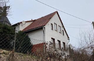 Einfamilienhaus kaufen in 99518 Bad Sulza, Bad Sulza - Haus in Schmiedehausen