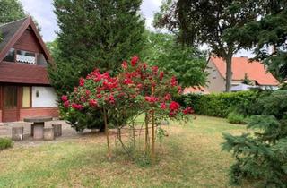 Haus kaufen in 01067 Dresden, Dresden - Wunderschönes Ferienhaus in traumhafter Lage