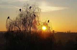 Wohnung mieten in Freiberger Straße 14, 09669 Frankenberg, Ab Februar 2026: Geräumige 3-Zimmer-Wohnung mit Parkettboden und Kamin