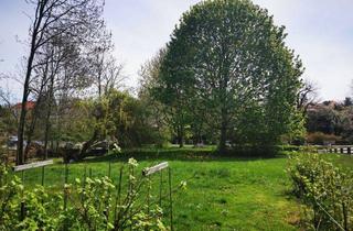 Grundstück zu kaufen in 01477 Arnsdorf, 2 Tiny Häuser Bauplatz auf Erbpacht in Arnsdorf