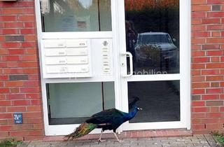 Wohnung kaufen in Biberbau, 23970 Friedenshof, Tierpark vor der Tür, schönes Wohnen im Erdgeschoss mit Terrasse