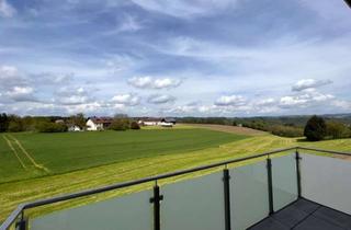 Penthouse kaufen in 94474 Vilshofen, 3 Zimmer Penthouse-Wohnung in Vilshofen an der Donau Wnr. 1.11