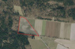 Grundstück zu kaufen in 31311 Uetze, Uetze Schwüblingsen - Fruchtbares Ackerland – Ideal für Landwirtschaft und Investition!