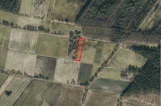 Grundstück zu kaufen in 31303 Burgdorf, Burgdorf - Investieren Sie in Grünland direkt am Burgdorfer Holz