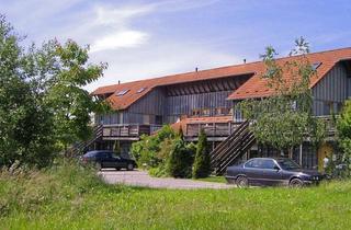 Wohnung mieten in Hässelrehm 31B, 29399 Wahrenholz, Kuschelige 2,5- Zimmer- DG- Wohnung mit Terrasse, neue energieeffiziente Heizung