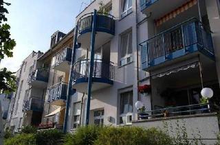 Wohnung mieten in Ringpromenade 24, 16761 Hennigsdorf, Gepflegte 1,5-Zimmer Wohnung im 1. OG in Hennigsdorf