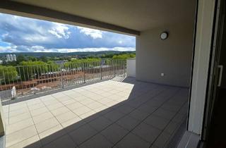 Penthouse mieten in Albert-Schweitzer-Straße 65, 67655 Innenstadt, Traumhafte Penthouse-Wohnung mit großer Panoramaterrasse