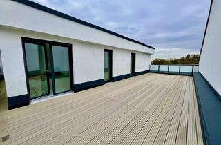 Penthouse mieten in 50169 Kerpen, Architektur pur: Penthouse mit Loft-Ambiente