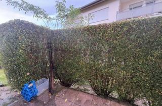 Wohnung mieten in 75228 Ispringen, Gemütliche 2-Zimmer Wohnung mit Terrasse und Gartenzugang