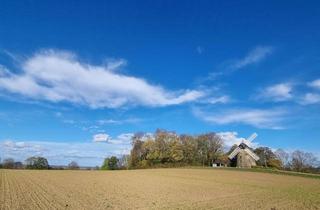Wohnung mieten in 31552 Rodenberg, Freundliche 2-Zimmer-DG-Wohnung in RODENBERG