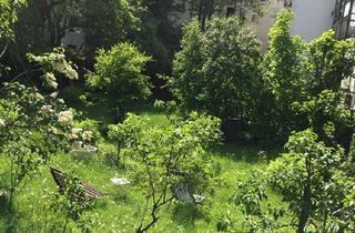 Wohnung mieten in Donnerstraße 43, 22763 Ottensen, 2 Zimmer Wohnung mit Südbalkon in Hamburg-Ottensen