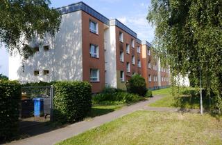 Wohnung mieten in Wollgrasweg, 21220 Seevetal, Schöne Wohnung: interessante 4-Zimmer-Wohnung