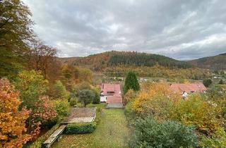 Wohnung mieten in 69151 Neckargemünd, Natur Pur! Renovierte 2-Zimmer-Wohnungen mit Terrasse und Garten in Neckargemünd