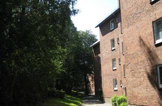 Wohnung mieten in Ostring 170, 24143 Gaarden-Ost, Frisch modernisierte Wohnung sucht Studenten