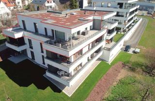 Penthouse mieten in 73447 Oberkochen, Wunderschöne Penthouse-Wohnung im Stahlacker Oberkochen