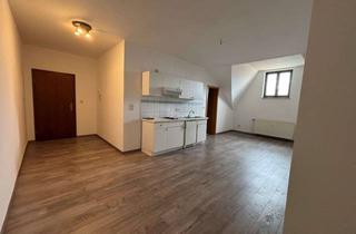 Wohnung mieten in Ludwig-Wucherer-Straße 55, 06108 Paulusviertel, 1-Raum-Wohnung mit EBK im beliebten Paulusviertel zu vermieten