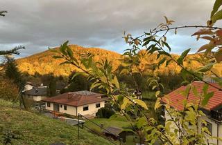 Haus kaufen in Im Freiacker 21, 64686 Lautertal, Ruhe genießen, Natur erleben. Den vielen Platz nutzen. Klasse!