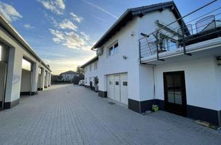 Einfamilienhaus kaufen in 53913 Swisttal, Modernisiertes Einfamilienhaus mit sechs großen vielseitig nutzbaren Lagerhallen