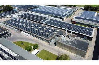 Gewerbeimmobilie mieten in 89423 Gundelfingen, PROVISIONSFREI - ca. 7.550 m² Lager- und Produktionsfläche zu vermieten