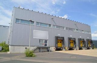 Gewerbeimmobilie kaufen in Alfred-Lange-Straße 31, 09599 Freiberg, Hallenkomplex (Logistik, Lager und Produktion) in Freiberg