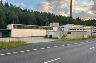 Gewerbeimmobilie kaufen in Klingenthaler Straße 23 e, 08262 Tannenbergsthal, Gewerbeimmobilie mit Entwicklungspotenzial - ca. 6.000 m² Nutzfläche provisionsfrei im Share Deal