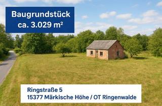 Grundstück zu kaufen in Ringstraße, 15377 Märkische Höhe, Baugrundstück mit Altbestand in idyllischer Lage – Ringstraße 5, 15377 Märkische Höhe / OT Ringenwal