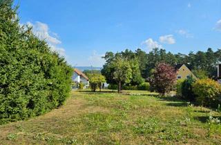 Grundstück zu kaufen in 91352 Hallerndorf, Grundstück in 91352 Hallerndorf / Ortsteil Trailsdorf