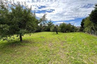 Grundstück zu kaufen in 79379 Müllheim, Hier werden Bau-Träume wahr!