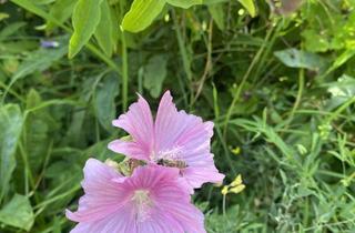 Grundstück zu kaufen in 86928 Hofstetten, Schönes Grundstück für eine DHH Traumhaus