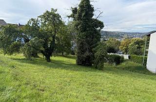 Grundstück zu kaufen in 53557 Bad Hönningen, 2 Baugrundstücke (teilbar)