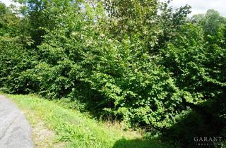 Grundstück zu kaufen in 72275 Alpirsbach, Großer Bauplatz mit guter Aussicht in Alpirsbach!