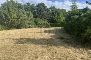 Grundstück zu kaufen in 76646 Bruchsal, SONNIG MIT VIELFÄLTIGER NUTZUNG