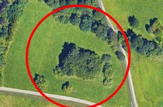 Grundstück zu kaufen in 73054 Eislingen, Zwar kein Baugrundstück, dafür aber ein Stück Natur bei Eislingen